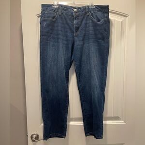 Sonoma Classic Blue Denim Jeans
